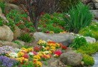 Amaroo NSWplanting-garden-and-landscape-design-69.jpg; ?>