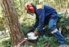 Amaroo NSWtree-cutting-services-21.jpg; ?>